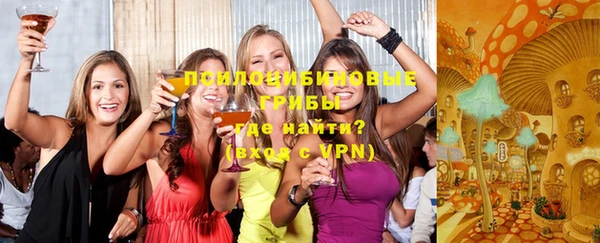 гашик Наволоки