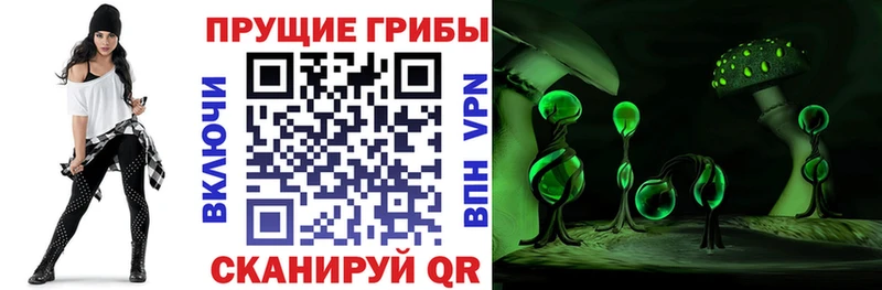 Галлюциногенные грибы ЛСД  Калтан 